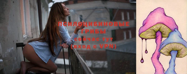 сатива Аркадак