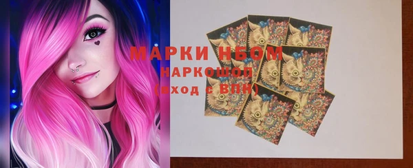 молекула духа Арсеньев