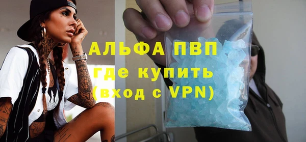 сатива Аркадак