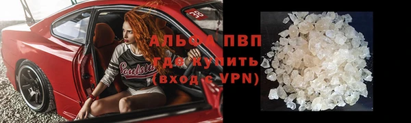 сатива Аркадак