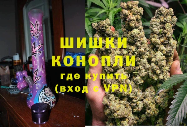 сатива Аркадак