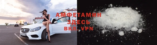 сатива Аркадак
