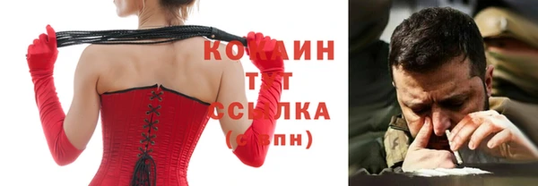 молекула духа Арсеньев