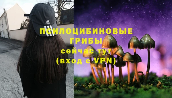 молекула духа Арсеньев
