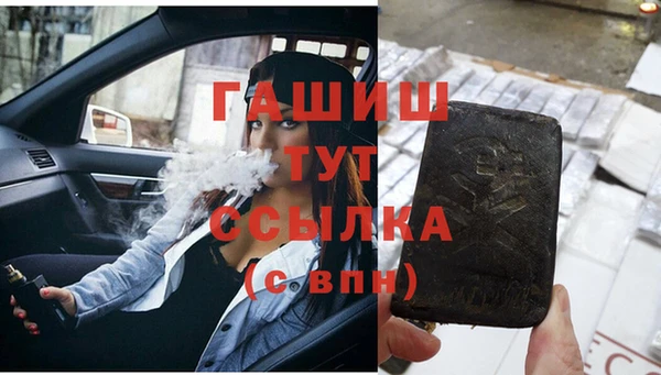 сатива Аркадак