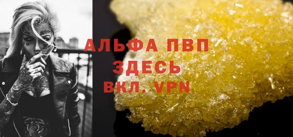 сатива Аркадак