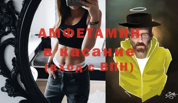 молекула духа Арсеньев