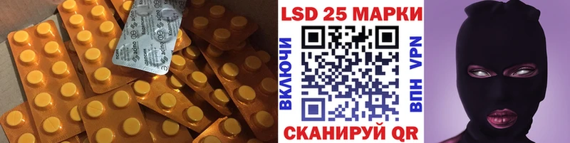 купить наркотики цена Дигора Лсд 25 экстази ecstasy