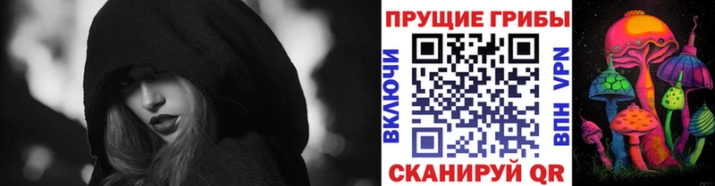 Галлюциногенные грибы MAGIC MUSHROOMS  omg зеркало  даркнет формула  Дигора 