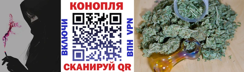 Бошки марихуана гибрид наркошоп Дигора